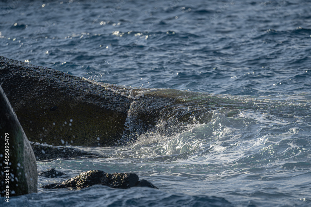 custom made wallpaper toronto digitalseashore 