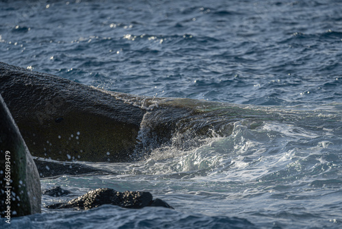 Wallpaper Mural seashore  Torontodigital.ca