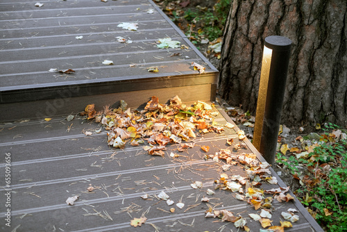 fallen leaves on a patio floor photo
