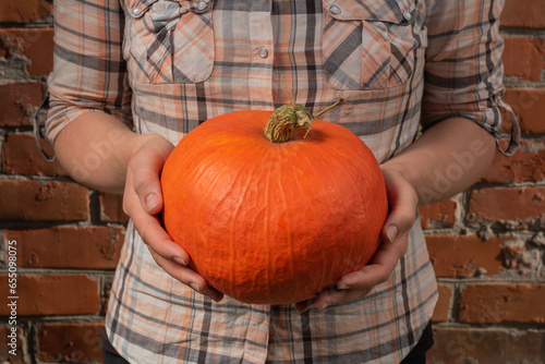 A small pumpkin in the hands of a young girl. Preparation for Halloween photo