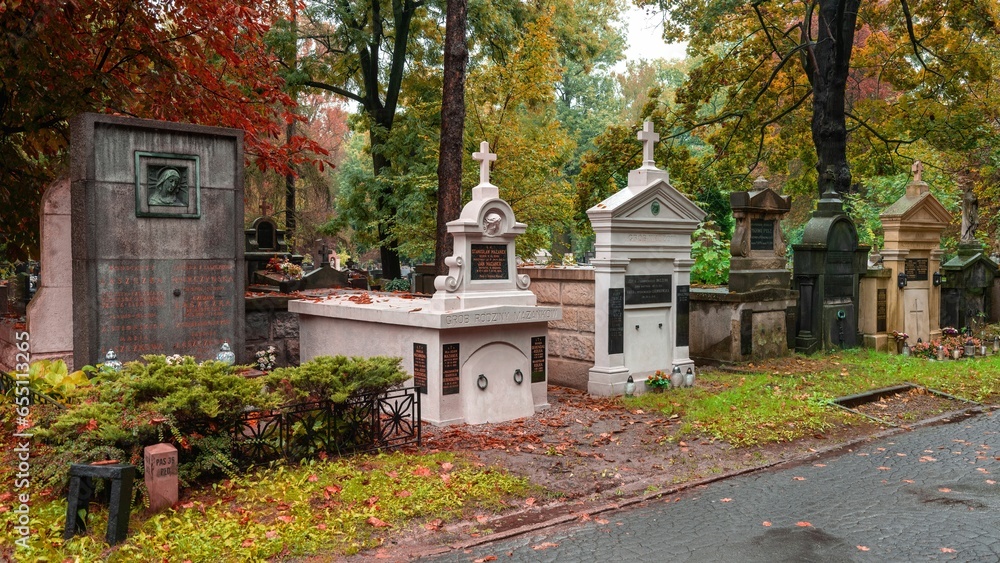 Cmentarz Rakowicki w Krakowie w deszczowy, jesienny dzień - obrazy, fototapety, plakaty 