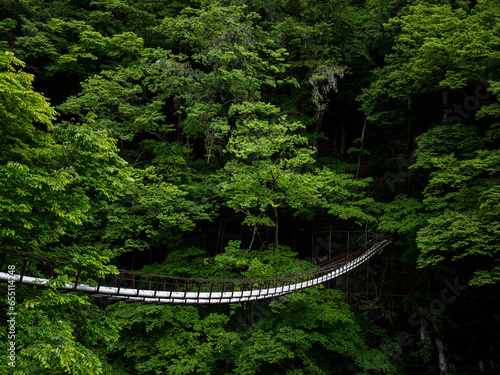 森の中の水管橋
Water pipe bridge in the forest