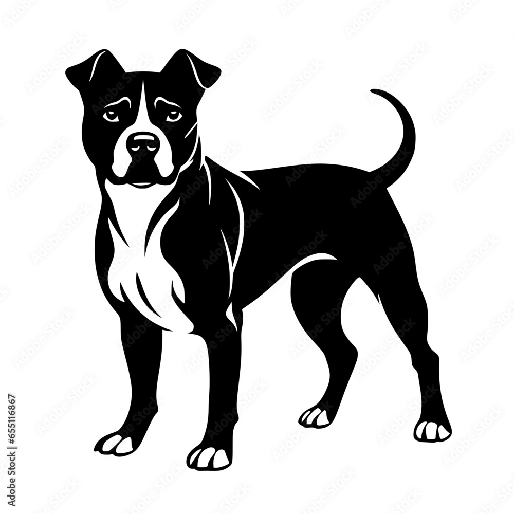 Obraz premium Pitbull Vector