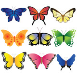 Colorful betterfly collection. Vector illustration on white background