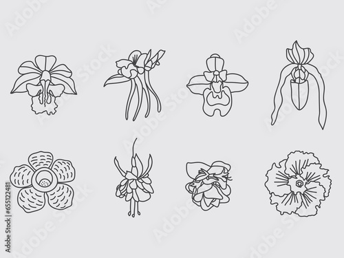 set of exotic flower outline flat icon.rafflesia,orchid ,fushcia flower line art symbol photo