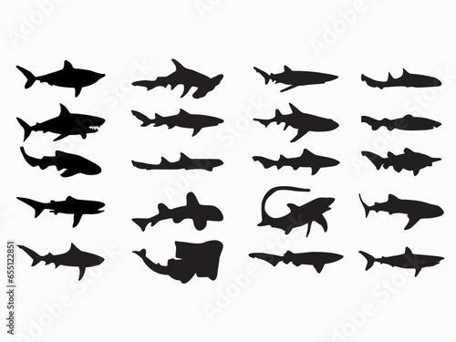 set of types of shark silhouette vector illustration on white background
