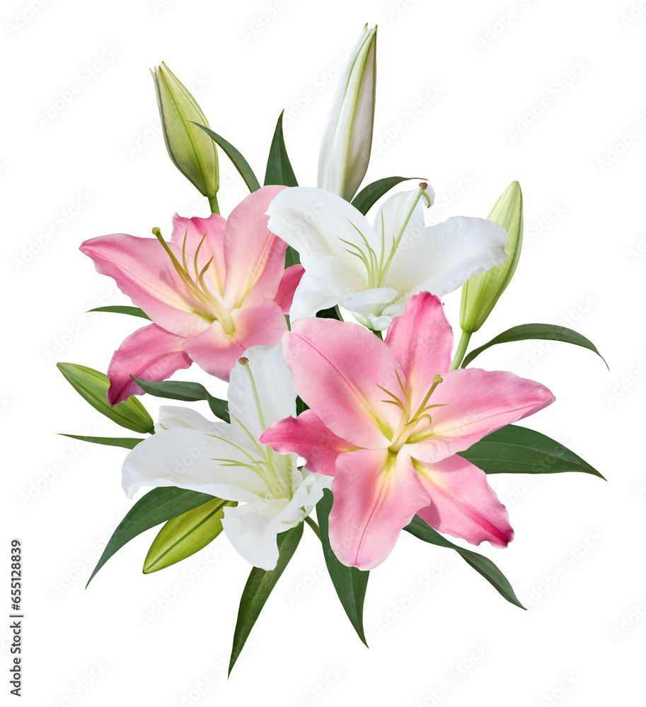 White and pink Lily flower bouquet isolated on transparent background
