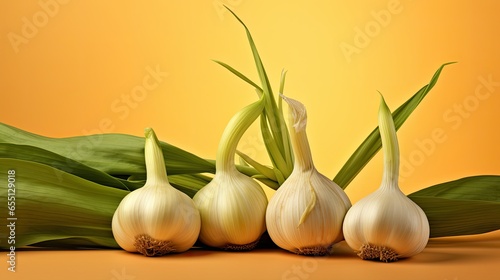 cloves and cloves of garlic on a colored background
