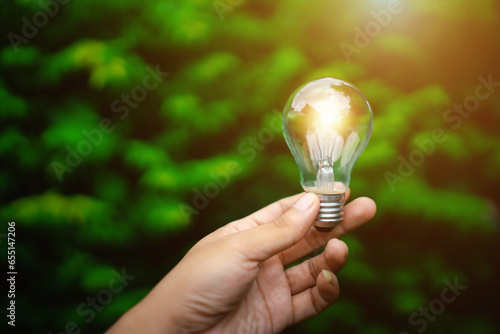 Ecology energy efficiency concept. Hand holding light bulb against nature on blurred tree background. 