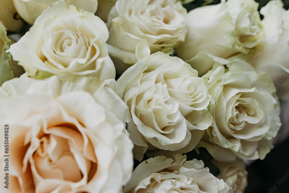 Flower composition of light beige roses, close up. Flower composition of light beige roses, close up.