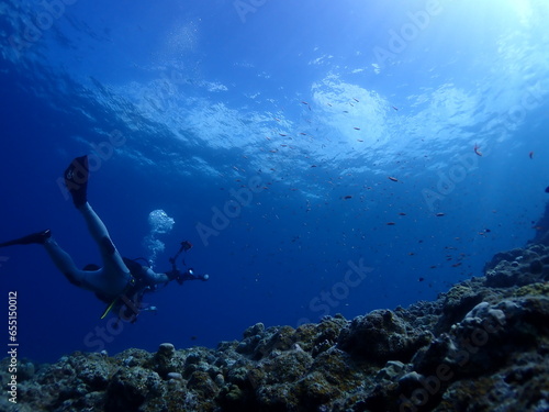 石垣島・川平湾沖海底をダイブする photo