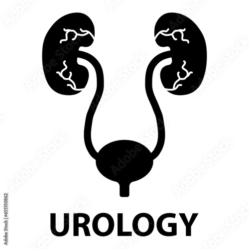 Urology health human icon, anatomy medical body bladder sign, biology vector illustration
