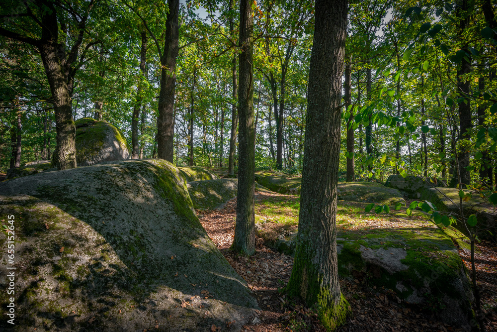 mythical stone giants and viklas and granit rockformation in Blockheide, natural reserve near Gmünd, Austria mythical stone giants and viklas and granit rockformation in Blockheide, natural reserve near Gmünd, Austria