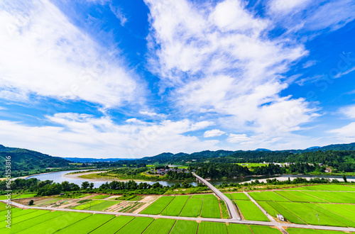 川口牛ケ島 の 信濃川 ( 千曲川 ) と 牛ケ島大橋 と 田園風景 【 新潟県 の 風景 】