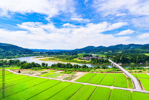 川口牛ケ島 の 信濃川 ( 千曲川 ) と 牛ケ島大橋 と 田園風景 【 新潟県 の 風景 】