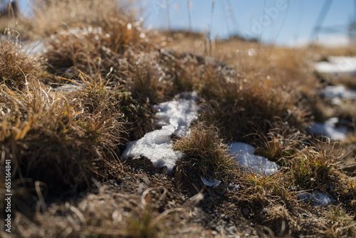 Snow patch in grass in autumn high altitude mountains