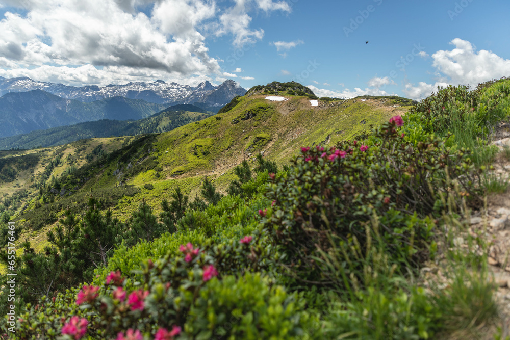 Salzburger Land