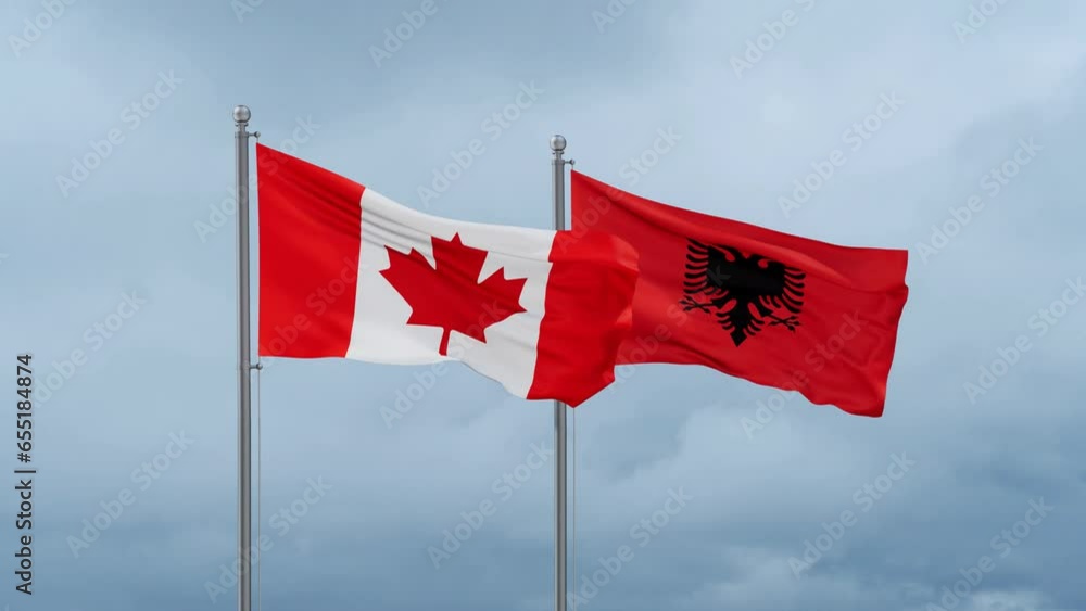 Canada flag and Albania flag waving together on cloudy sky, endless seamless loop Canada flag and Albania flag waving together on cloudy sky, endless seamless loop