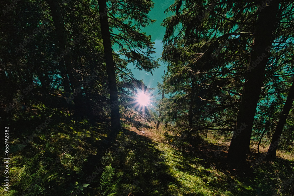Fototapeta premium Spiegelung der Sonne im Bergsee