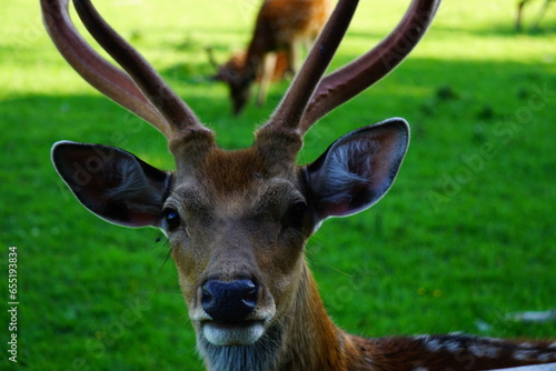 nature from Kiel