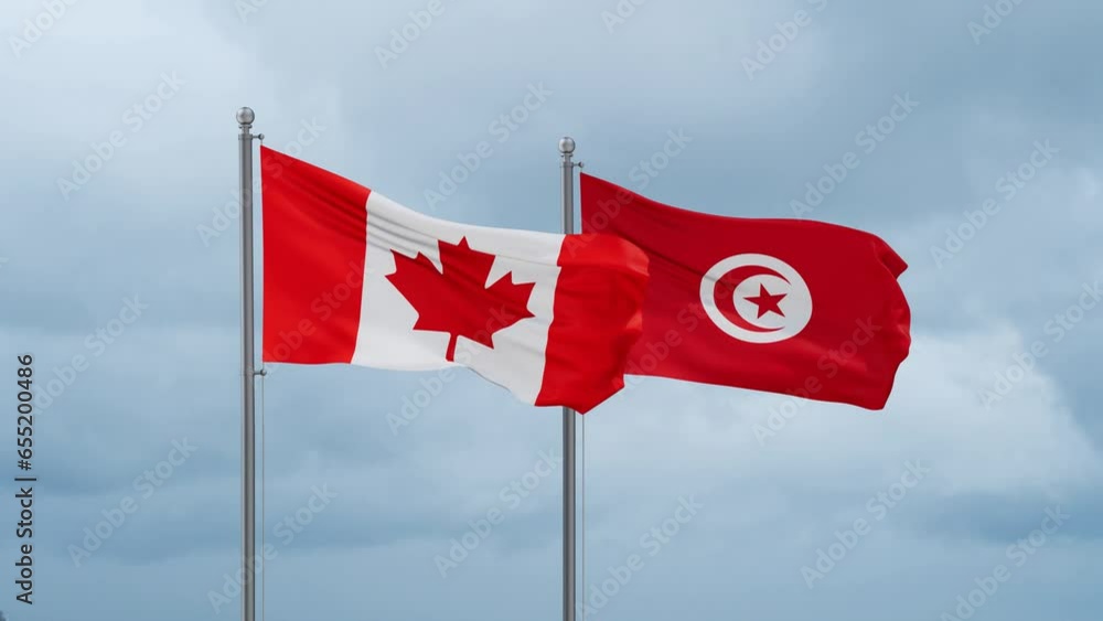 Tunisia and Canada flag waving together on cloudy sky, endless seamless loop, two country cooperation concept Tunisia and Canada flag waving together on cloudy sky, endless seamless loop, two country cooperation concept
