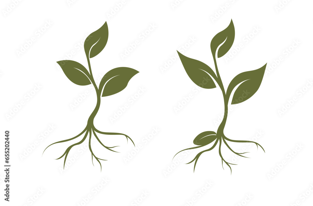 Fototapeta premium Vector sprouts, three leaves, roots, seed. Organic creative symbol concept, natural biocosmetics, nature
