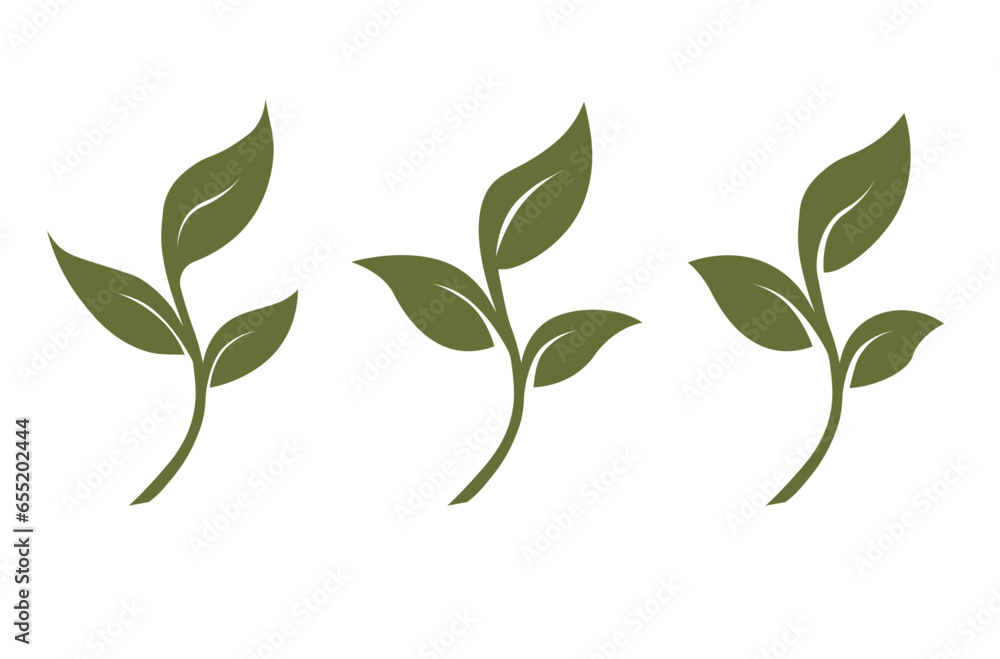 Obraz premium Vector sprout three leaves, organic creative symbol concept. natural biocosmetics, nature