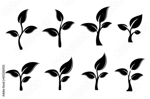 Set of vector logo sprouts in black, a twig with three leaves. Organic creative symbol concept, natural biocosmetics, nature photo