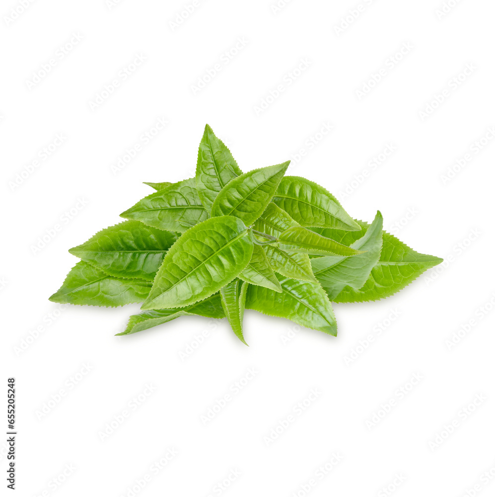 Obraz premium Green tea leaves isolated on transparent background (.PNG)