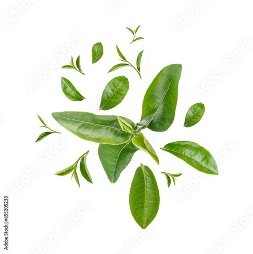 Green tea leaves isolated on transparent background (.PNG)
