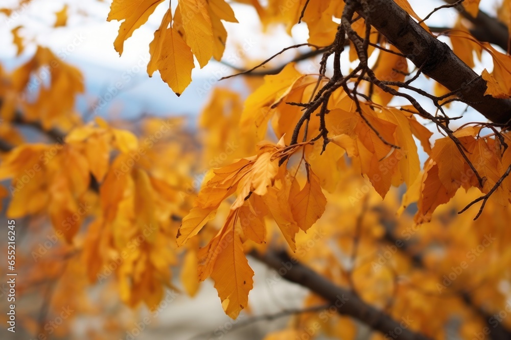 leaves rustling on a tree in the wind leaves rustling on a tree in the wind