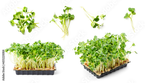 potted and loose / cut green fresh radish cress isolated over a transparent background, cut-out isolated herbs, cooking, food or gardening design element, different positions / angles, PNG photo