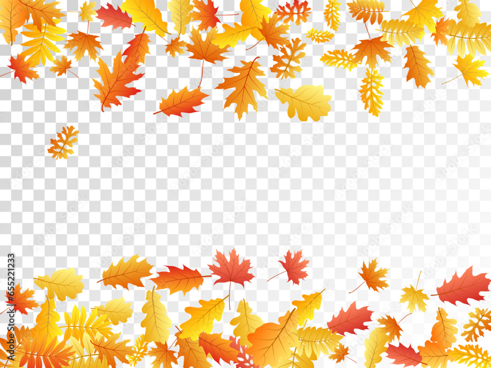 Oak, maple, wild ash rowan leaves vector, autumn foliage on transparent background. Oak, maple, wild ash rowan leaves vector, autumn foliage on transparent background.