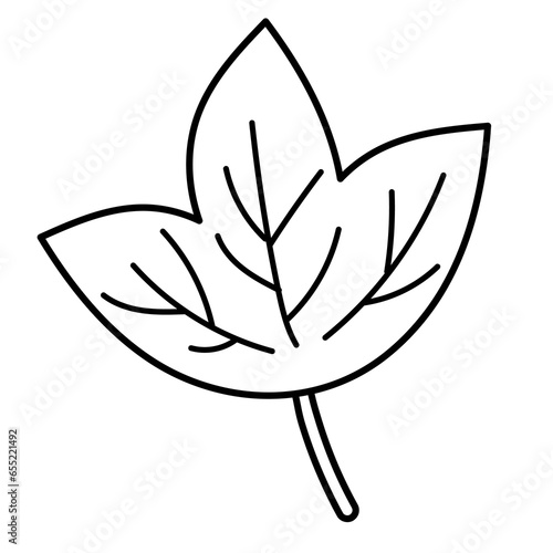 Leaf outline illustration for colouring book, floral element, autumn, nature, garden, logo, icon, decoration, social media post, tattoo, fabric print, ads, banner, forest, flower sticker