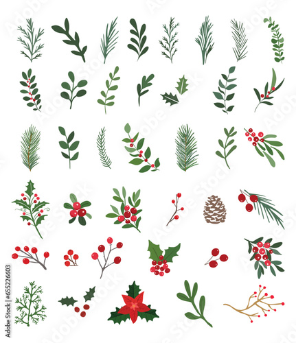 Branches collection hand drawn, vector illustration
