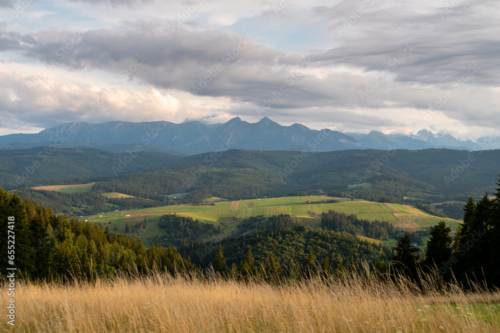 Widok na Tatry z Pienin