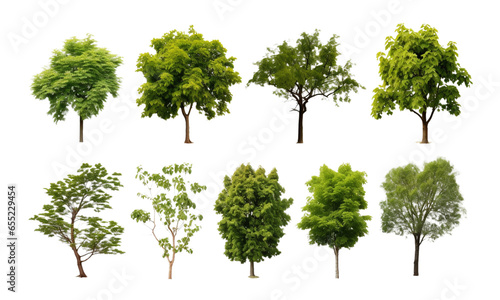 A set of realistic tree images on a transparent background.