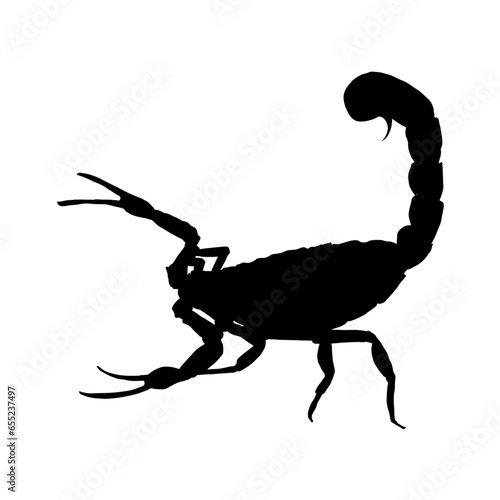  scorpion silhouette - vector illustration