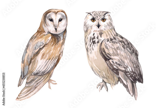 Set of watercolor owls. Mystical predatory forest animal. Illustration for the design of children's things and children's room, magic and sorcery. forest and nature. Snowy Owl and Barn Owl.