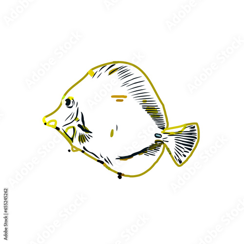 Color sketch of ornamental fish with a transparent background to learn coloring and logo elements