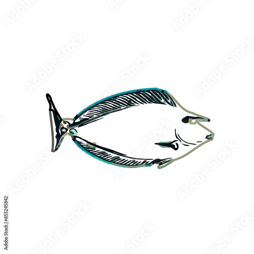 Color sketch of ornamental fish with a transparent background to learn coloring and logo elements