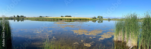 Foto Pond in Wellington Wildlife Area in Wellington, Colorado