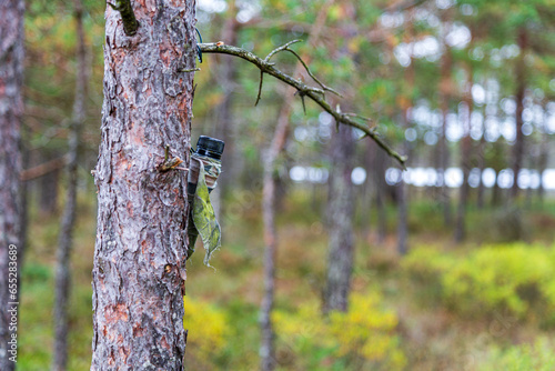 Geocaching in a nature reserve in Småland photo