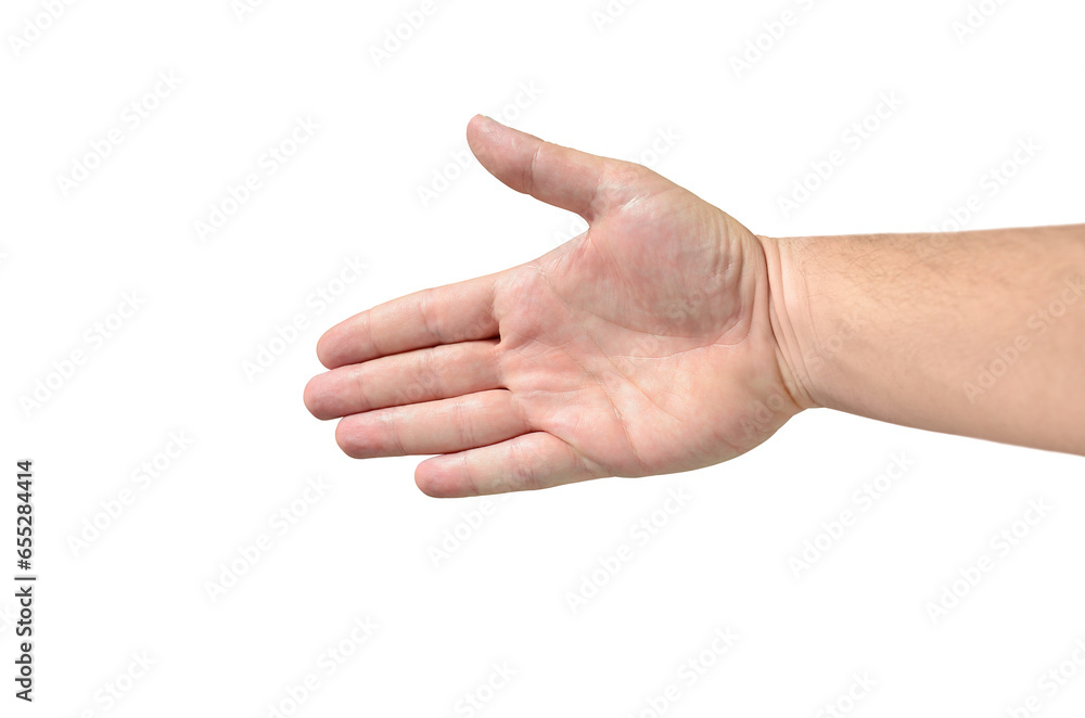 Hand, human palm isolated on white background Hand, human palm isolated on white background