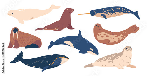 Whale, Walrus, Orca and White Whale with Narwhal and Seal, Beluga, Arctic Sea Animals Set. Incredible Marine Life