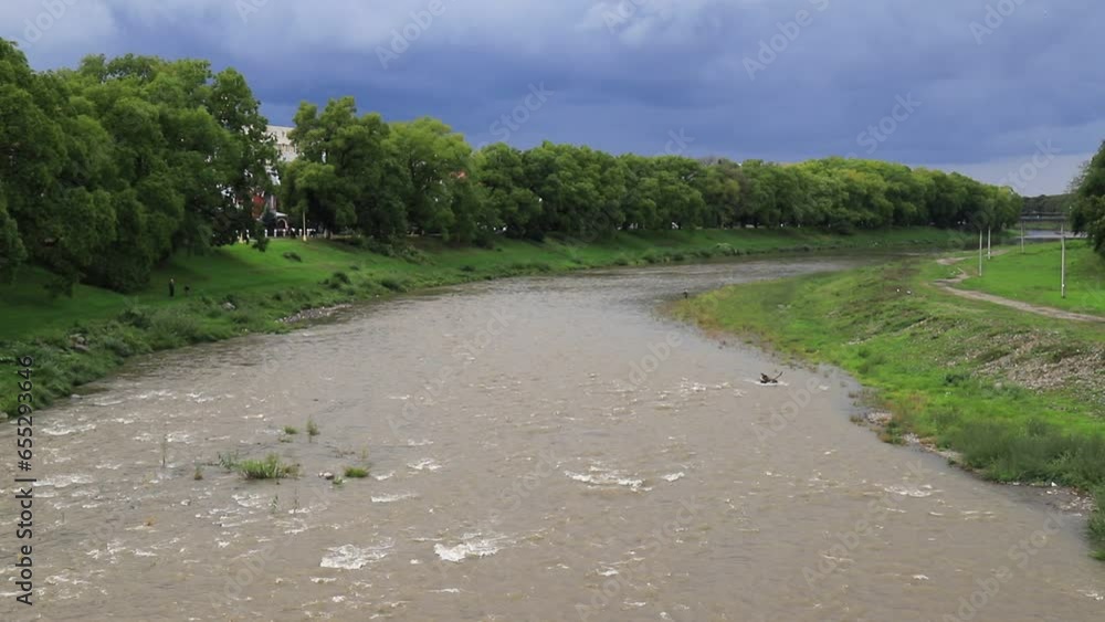 Stormy mountain river flows in Carpathians among green banks, Uzhhorod, Ukraine Stormy mountain river flows in Carpathians among green banks, Uzhhorod, Ukraine