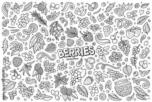 Cartoon Berry fruits objects and symbols doodle set