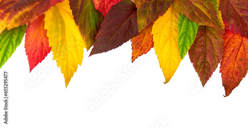 Autumn composition. Frame made from orange, red and green leaves . Isolated on white background and place for your text