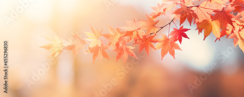 autumn leaves background © iDoPixBox