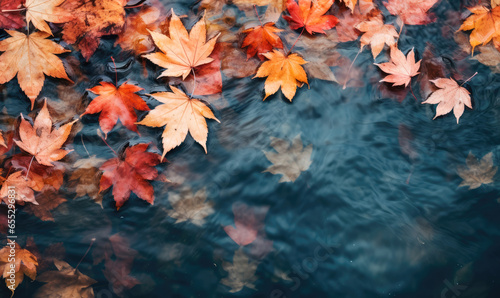 autumn leaves in water